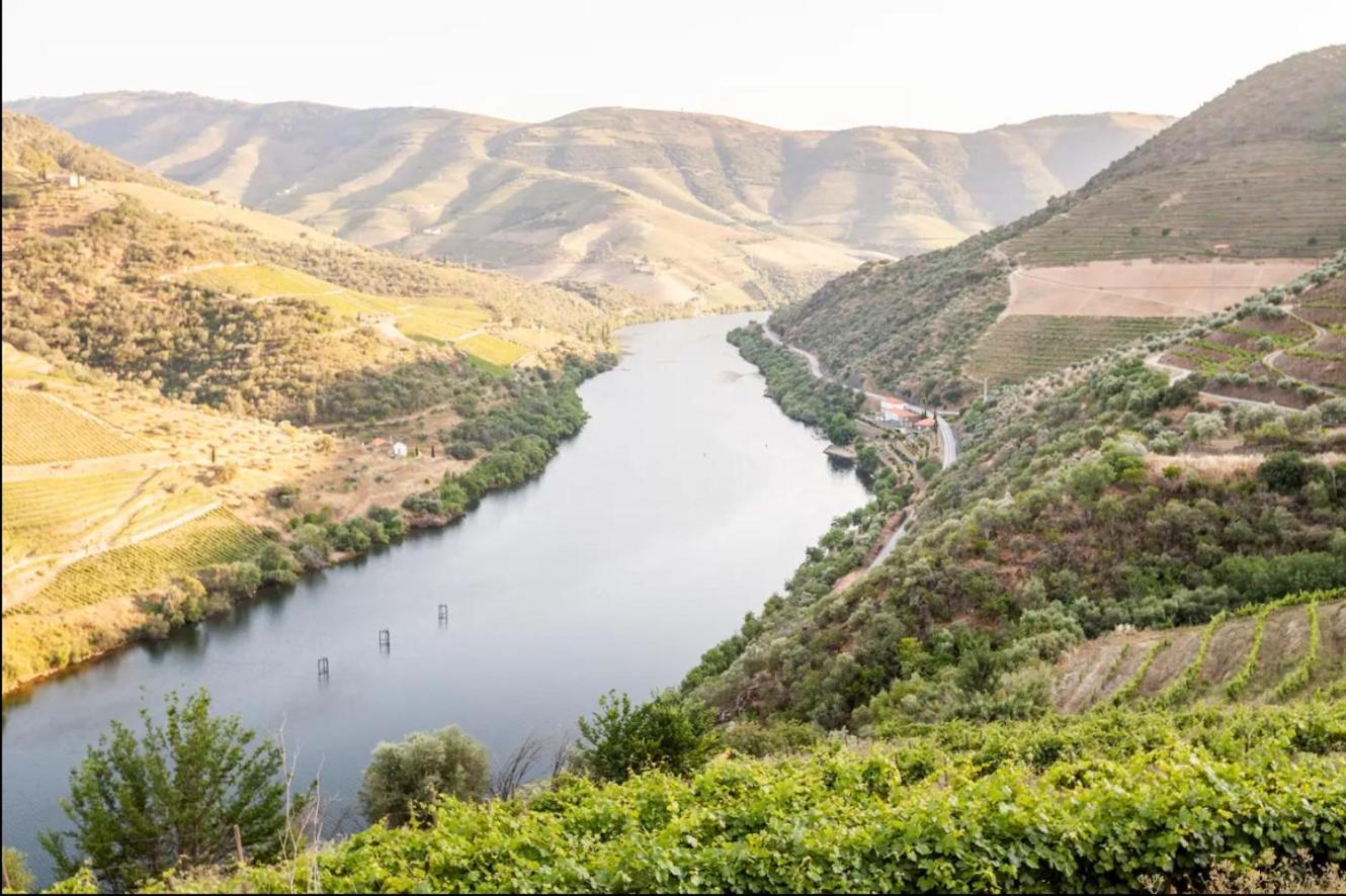 Quinta De Merouco - Casa Do Rio Cotas Zewnętrze zdjęcie